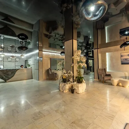 Stillaterm 米内拉尔尼巴尼